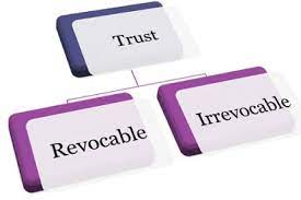 Revocable or Irrevocable Trust
